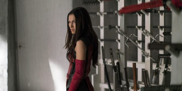 elektra-defenders-2